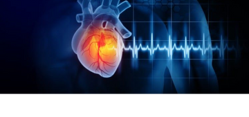 NMN Explained: Benefits for NAD+, Aging, and Gut Health