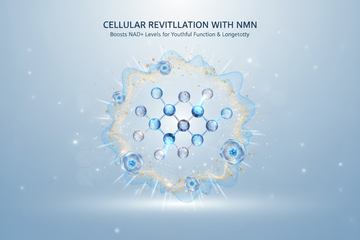 How NMN Helps